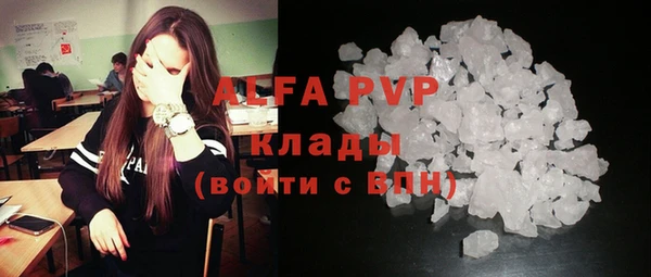 мдпв Верея