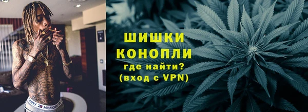 мдпв Верея